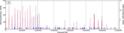 Post-translational changes in Phialophora verrucosa via lysine lactylation during prolonged presence in a patient with a CARD9-related <mark class="highlighted">immune disorder</mark>